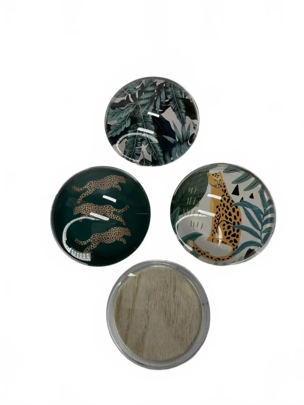 Set of 4 Jungle Animal Glass Magnets Cheetah Safari Refrigerator Magnets Office